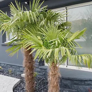 https://amontarrena-anglet.biarritzhotels.info